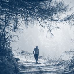 SIG Website Survey Welzijn Header 01