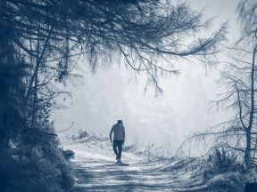 SIG Website Survey Welzijn Header 01