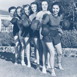 SIG Boxers Blauwfilter